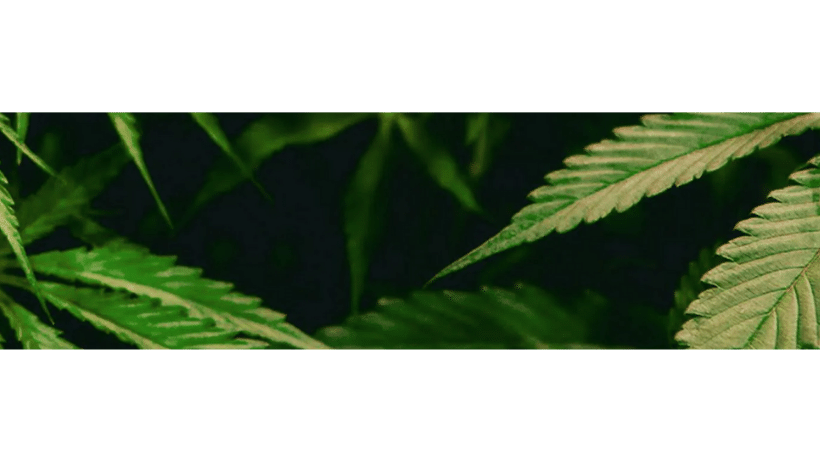 BluePrint banner